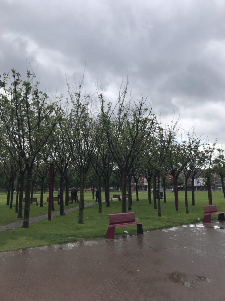 ヘルシンキ〜アムステルダム20190605〜0610_190615_0145