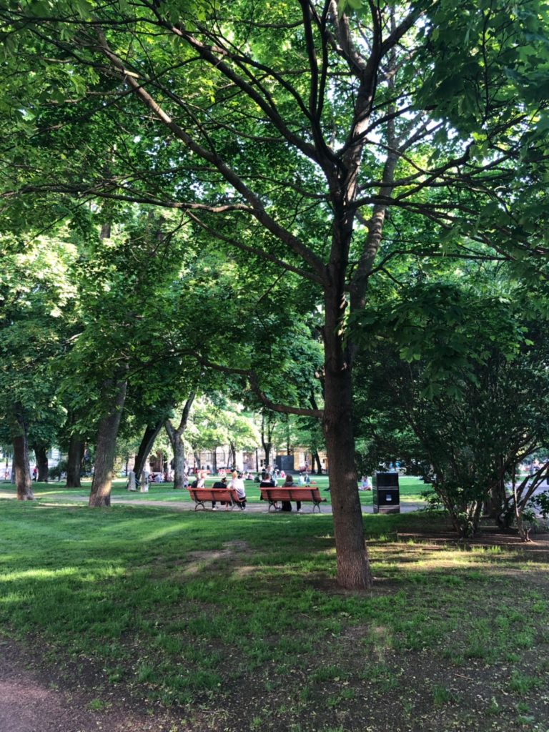 ヘルシンキ〜アムステルダム20190605〜0610_190615_0013