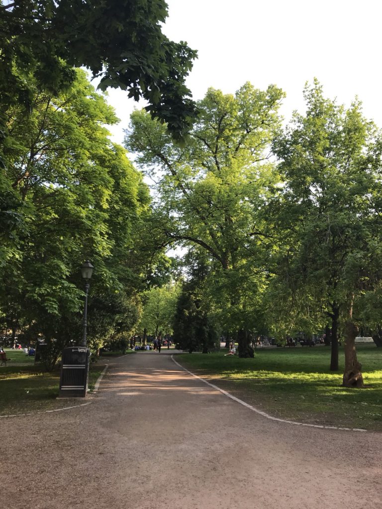 ヘルシンキ〜アムステルダム20190605〜0610_190615_0100